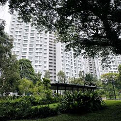 Blk 815A Keat Hong Quad (Choa Chu Kang), HDB 4 Rooms #554724381